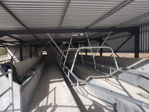 Steel A-frames, steel rump rails and steel kick rails built for the Brits family farm in Herbertsdale, Western Cape.