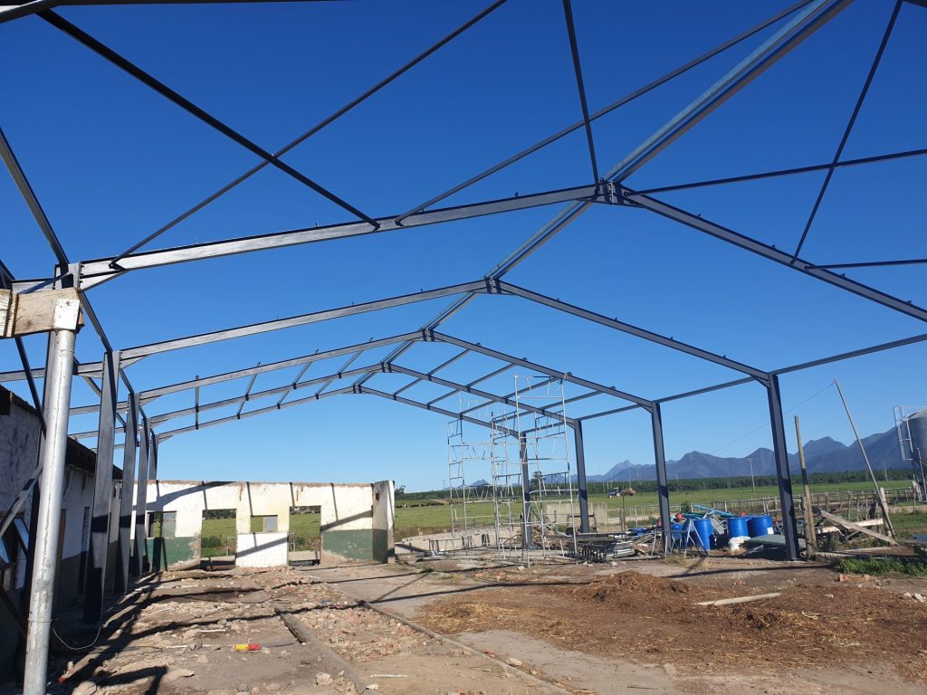 Steel Columns and purlins being erected at Kenmore farm for Grasslands farm steel structure