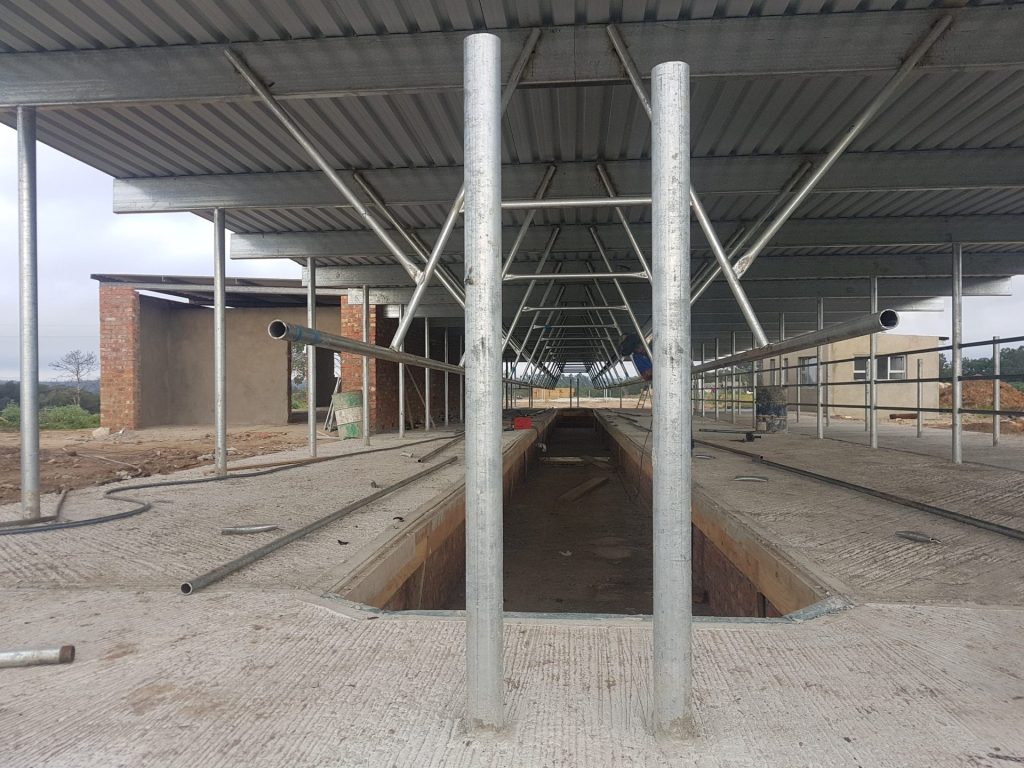 Milking parlor roof, rump rails and kick rails built at Rheenendal farm for Grasslands Agriculture
