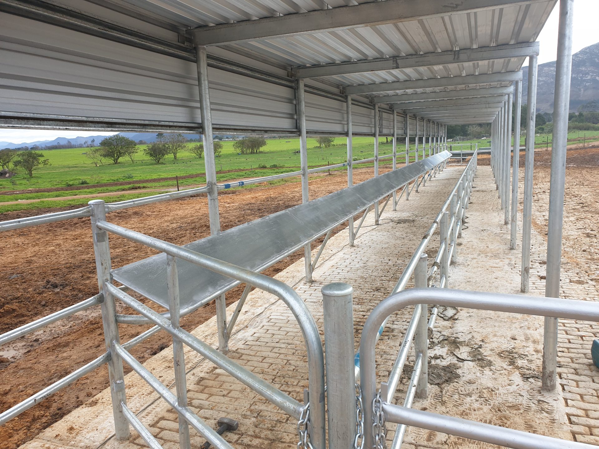 Steel Gates and kraal for cattle handling facilities